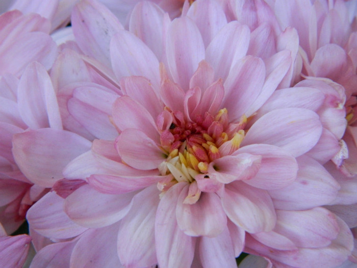 085 - 09_SEPTEMBRIE