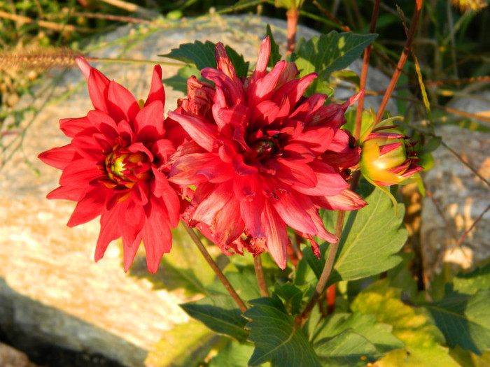 086 - 09_SEPTEMBRIE