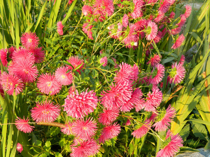 088 - 09_SEPTEMBRIE