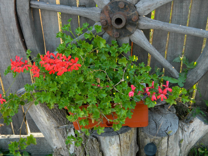 090 - 09_SEPTEMBRIE