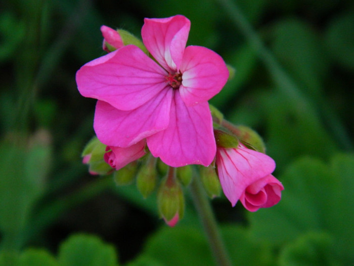 092 - 09_SEPTEMBRIE