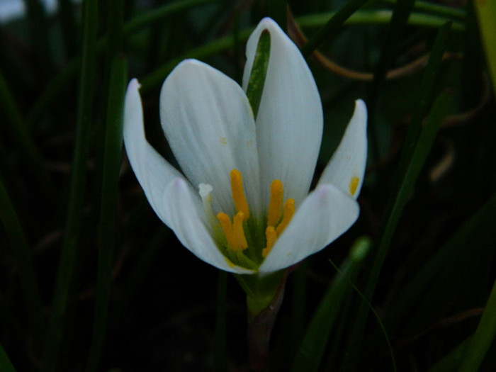 093 - 09_SEPTEMBRIE