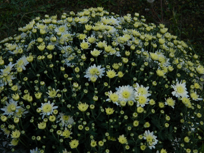 094 - 09_SEPTEMBRIE