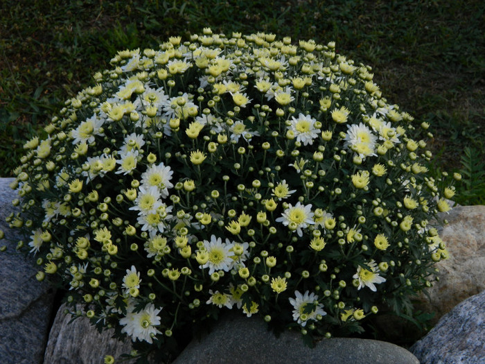 095 - 09_SEPTEMBRIE