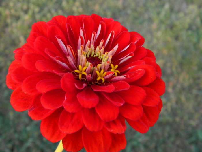 106 - 09_SEPTEMBRIE