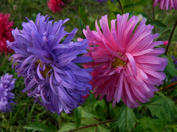 108 - 09_SEPTEMBRIE
