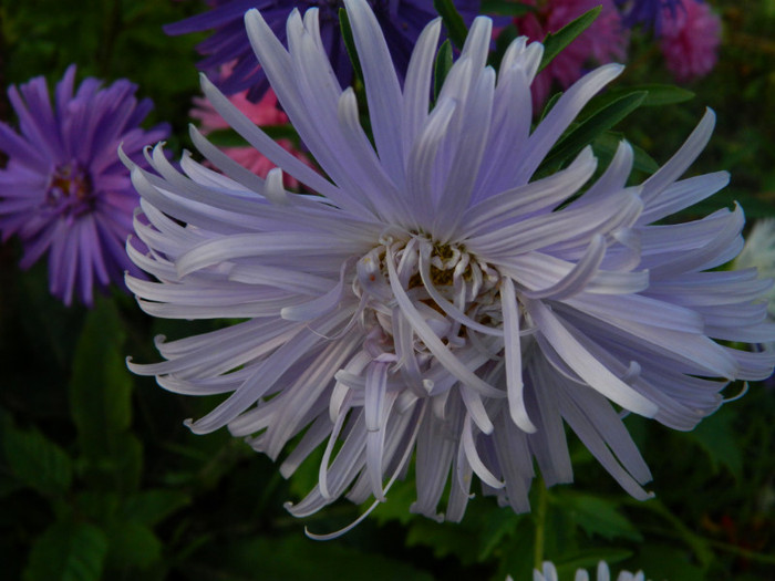109 - 09_SEPTEMBRIE