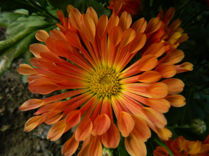 111 - 09_SEPTEMBRIE