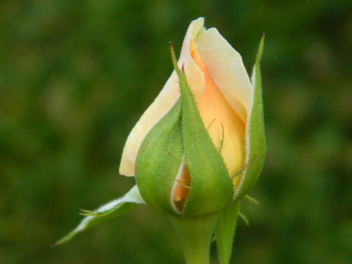 122 - 09_SEPTEMBRIE