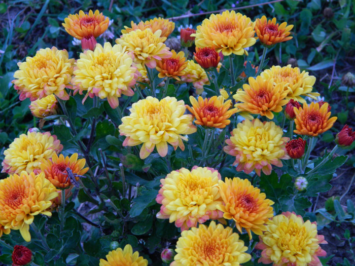 126 - 09_SEPTEMBRIE