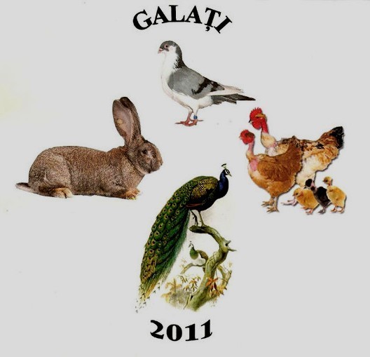 GALAȚI, 22 - 27 noiembrie 2011