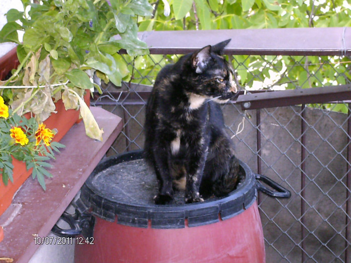 august 021 - mita _2011
