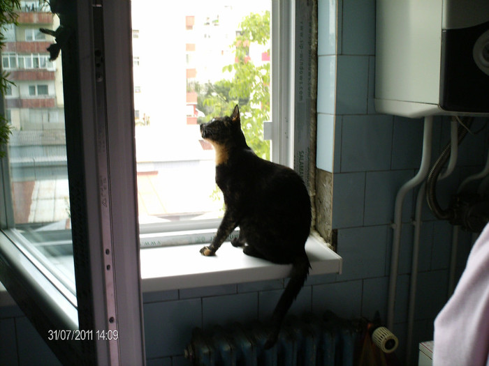 august 029 - mita _2011