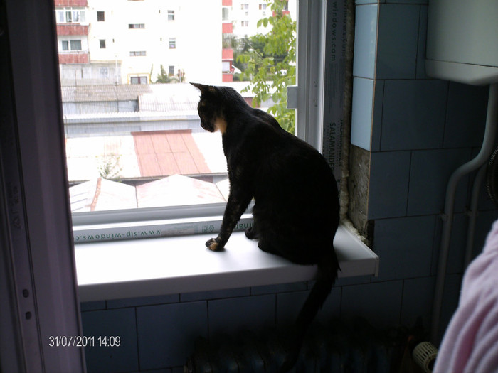 august 030 - mita _2011