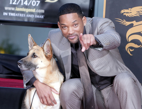 WILL55 - WILL SMITH