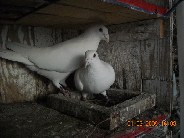 DSCN0113