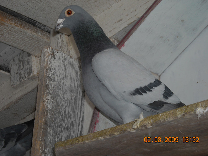DSCN0148