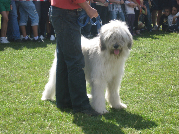 molda - expopastoralis rucar 2011