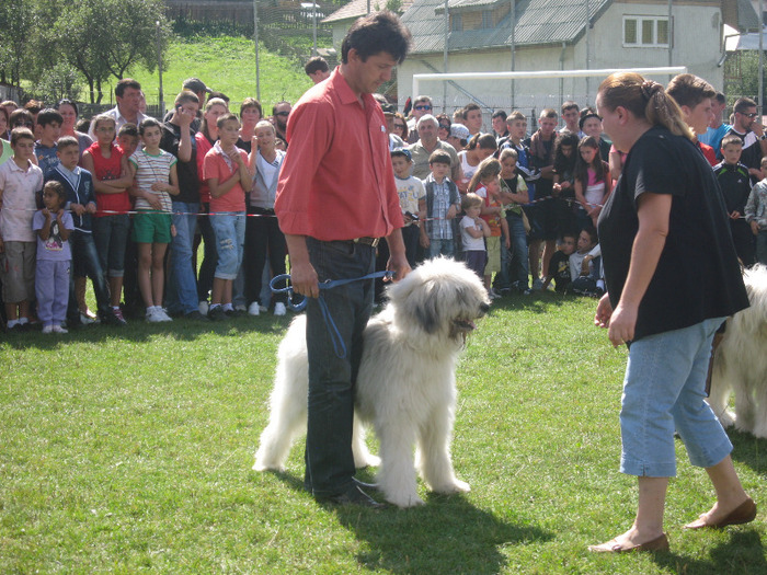 molda - expopastoralis rucar 2011