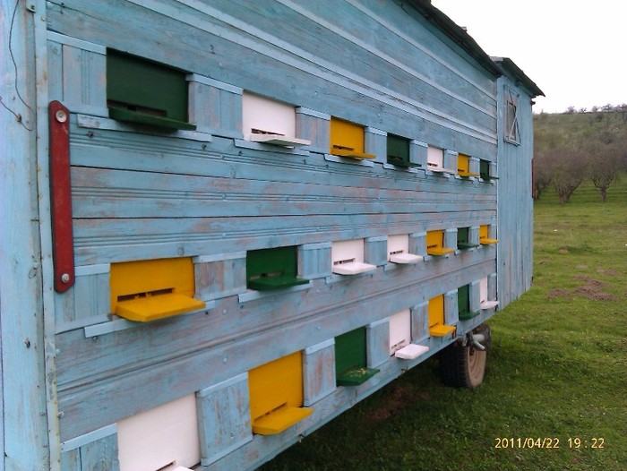 IMAG0423 - stupina mea 2011