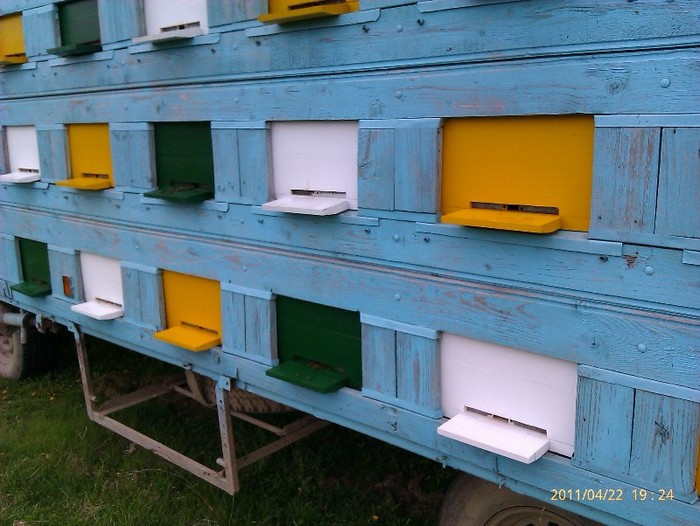 IMAG0430 - stupina mea 2011