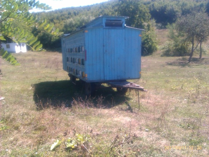 IMAG1249 - stupina mea 2011