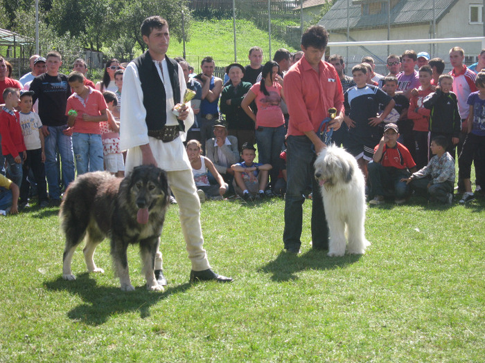 Picture 031 - expopastoralis rucar 2011