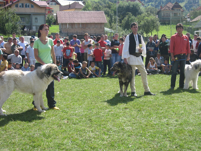 finalistii concursului