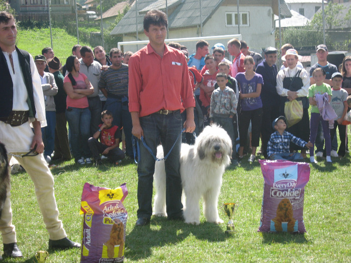 molda best in show