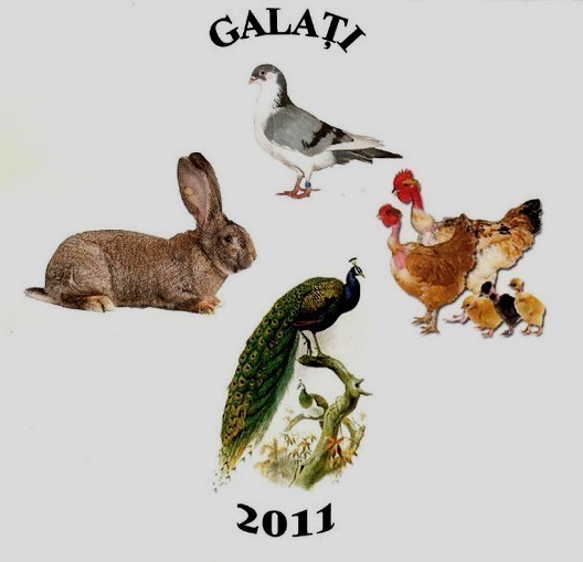 GALATI, 22 - 27 noiembrie 2011 - Targuri si expozitii