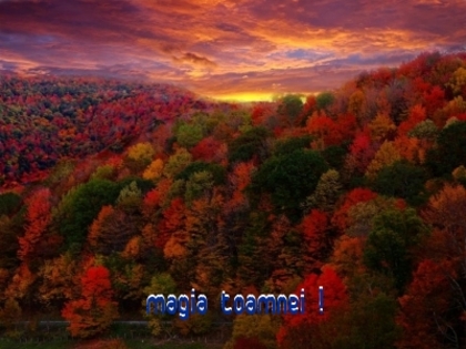 MAGIA TOAMNEI