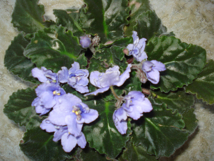 DSC00283