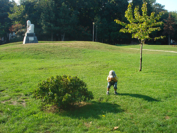 MEME,AM GASIT UN DINOZAUR:))