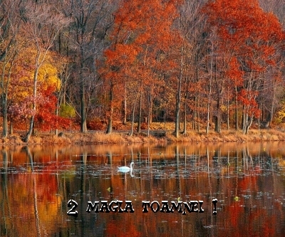 MAGIA TOAMNEI  tril2