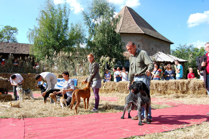 DSC_0102 - Expo Mures 2011