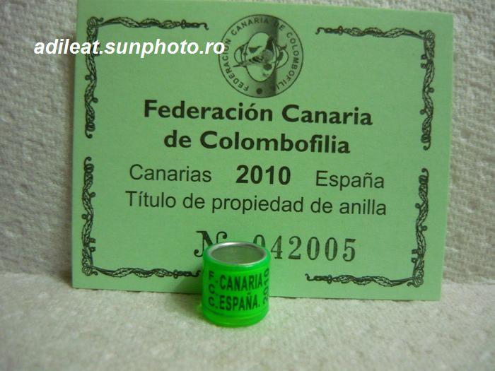 SPANIA-2010-CANARIA. - SPANIA-CANARIA-ring collection
