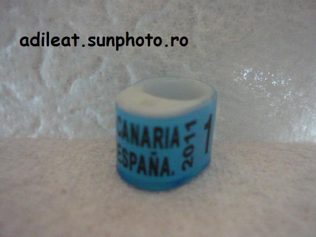 SPANIA-2011-CANARIA - SPANIA-CANARIA-ring collection