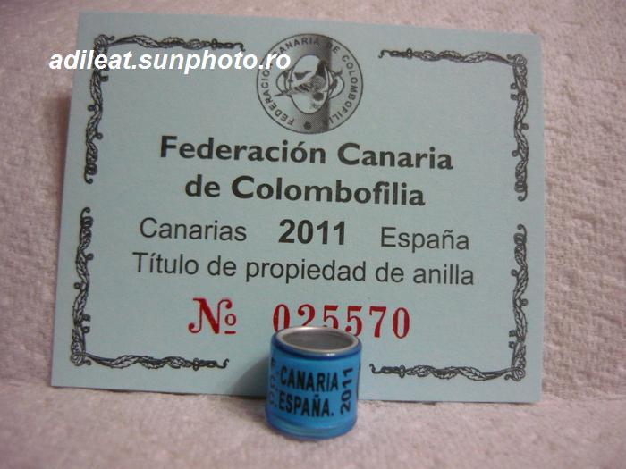 SPANIA-2011-CANARIA. - SPANIA-CANARIA-ring collection