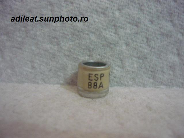 ESP-1988 - SPANIA-ESP-ring collection