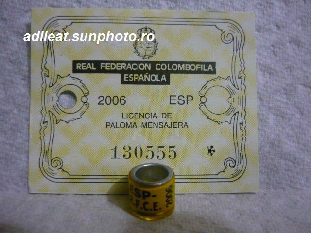 ESP-2006-R.F.C.E - SPANIA-ESP-ring collection