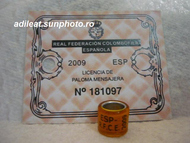 ESP-2009-R.F.C.E - SPANIA-ESP-ring collection