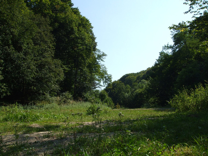 DSCF8854 - Instantanee-diverse