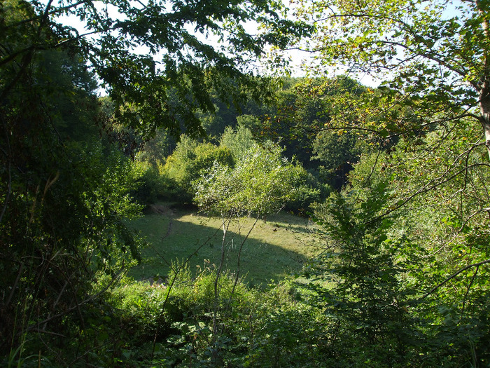 DSCF8861