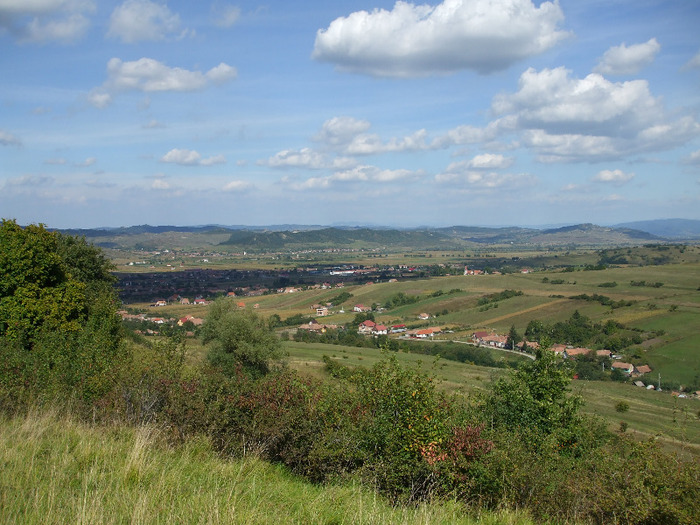 DSCF8903