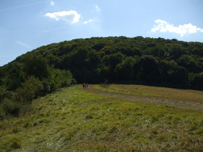 DSCF8905