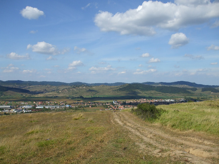 DSCF8906