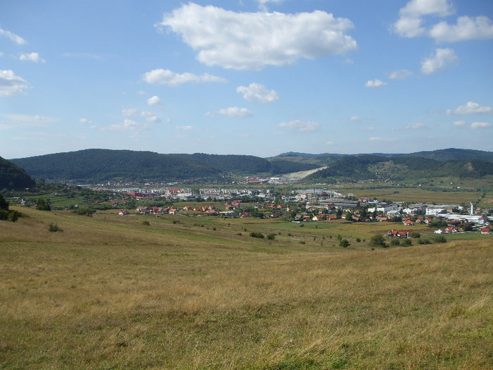 DSCF8907