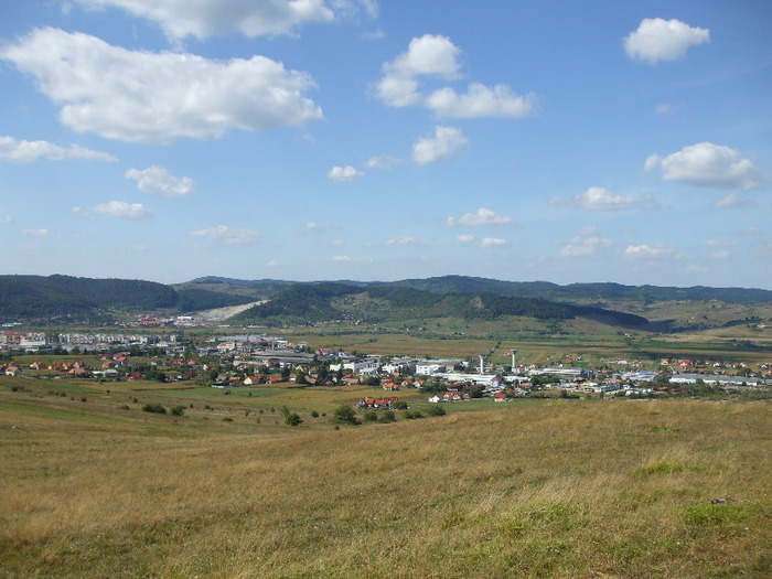 DSCF8909