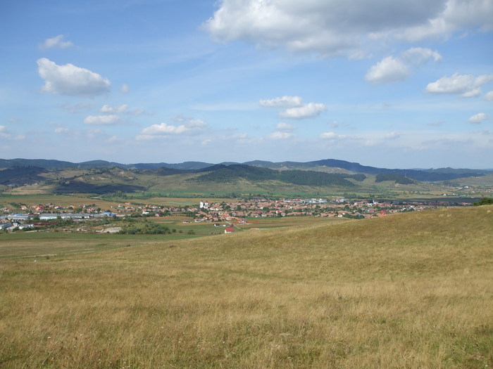 DSCF8912