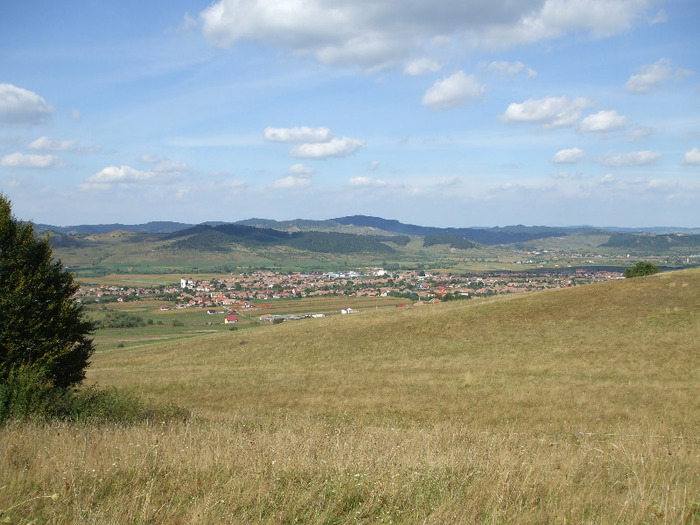 DSCF8914